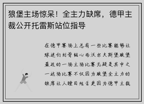 狼堡主场惊呆！全主力缺席，德甲主裁公开托雷斯站位指导