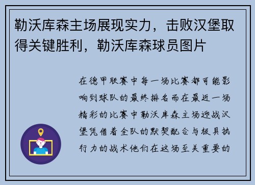 勒沃库森主场展现实力，击败汉堡取得关键胜利，勒沃库森球员图片