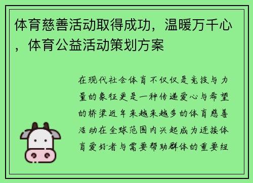 体育慈善活动取得成功，温暖万千心，体育公益活动策划方案