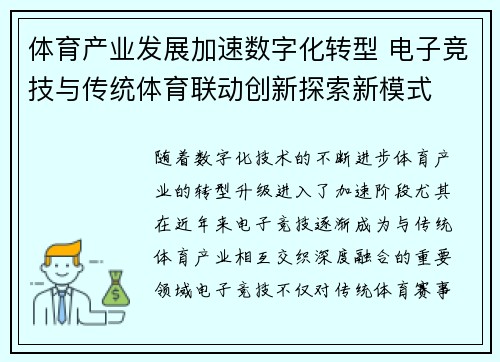 体育产业发展加速数字化转型 电子竞技与传统体育联动创新探索新模式